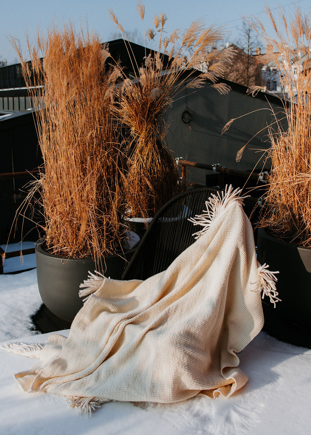 Merino Blanket